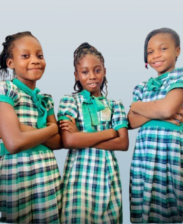 Welcome back you've been missed!